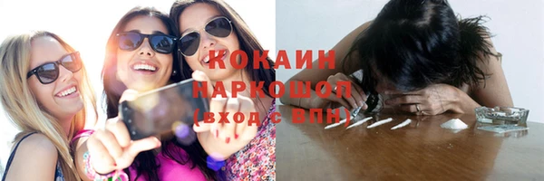 spice Осинники