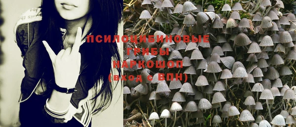 шишки Абинск