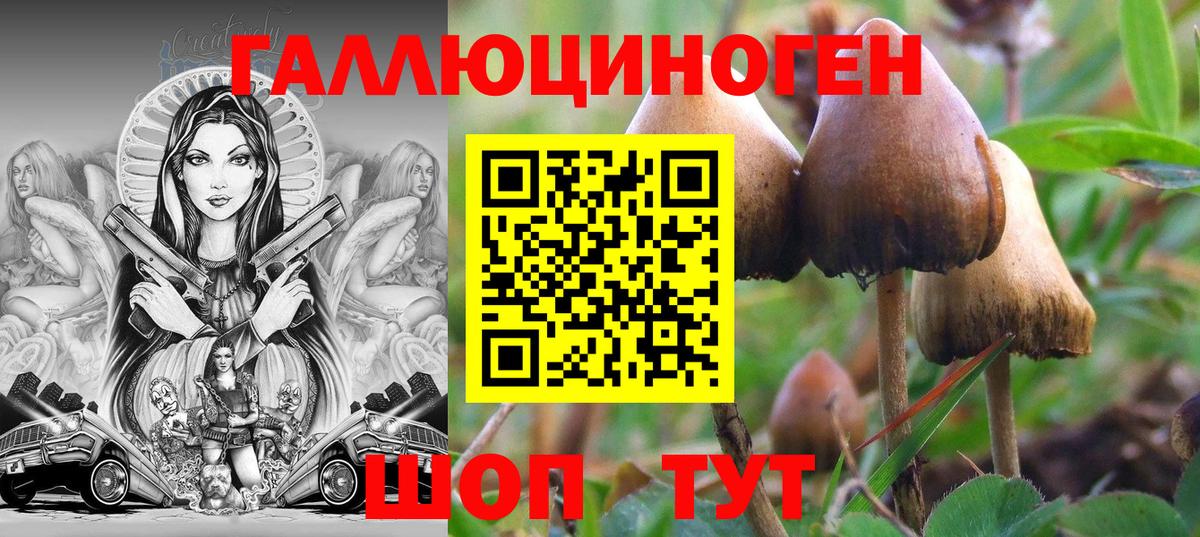 Галлюциногенные грибы Magic Shrooms Советская Гавань
