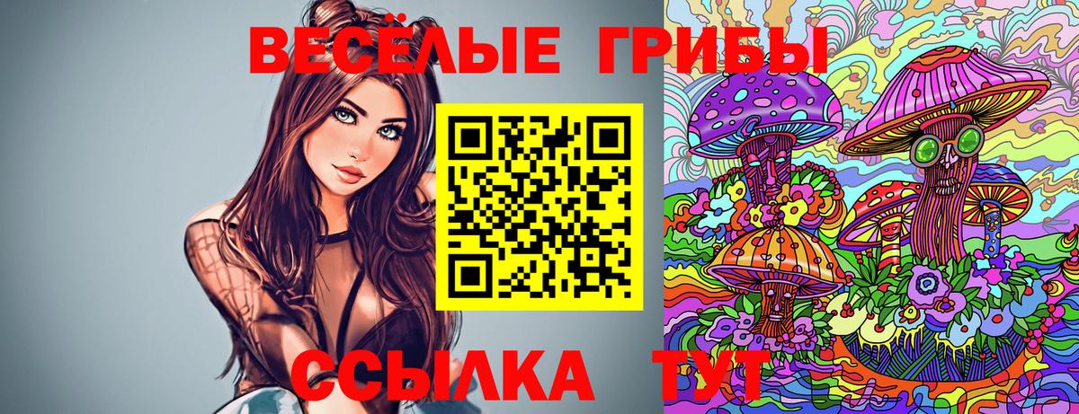 Советская Гавань  Псилоцибиновые грибы Psilocybe  Вход с VPN 